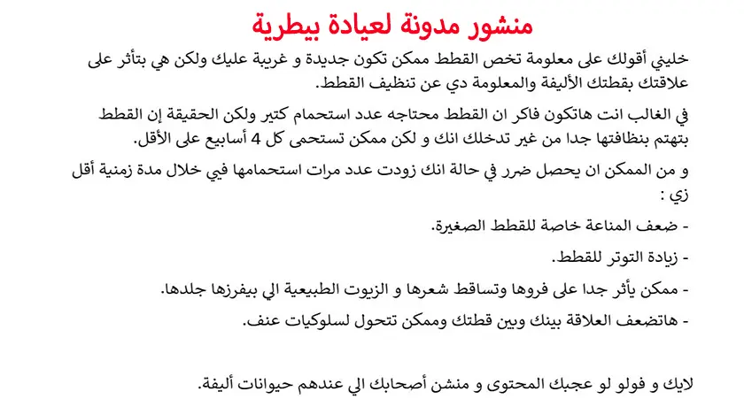 كتابة خطة محتوى شهرية سوشيال ميديا و مواقع إلكترونية