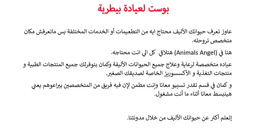 كتابة خطة محتوى شهرية سوشيال ميديا و مواقع إلكترونية