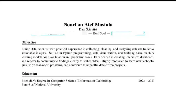كتابة سيرة ذاتية CV بطريقة احترافية