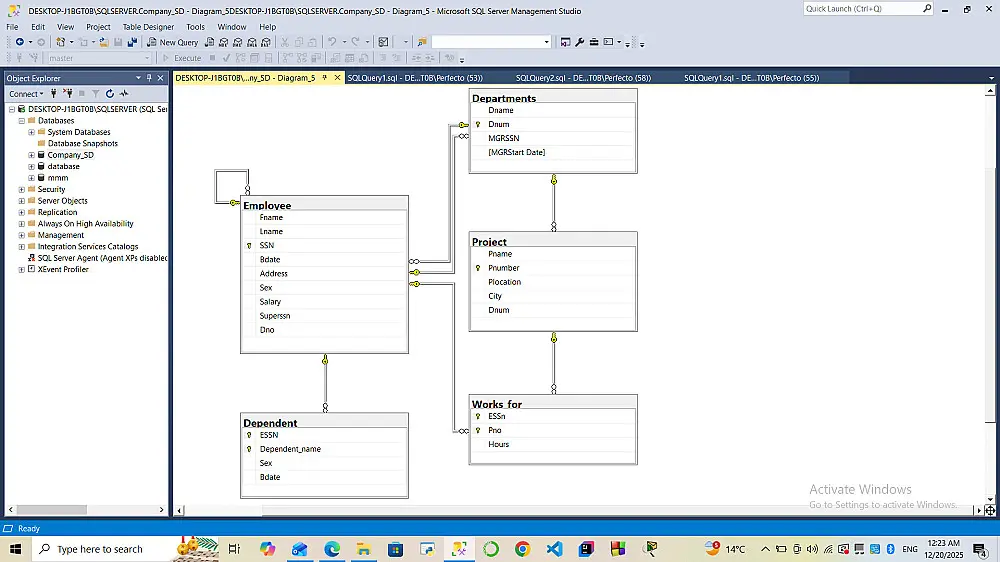 إدارة البيانات واستخراج المعلومات باستخدام SQL