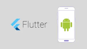 Software Testing for App based on Flutter