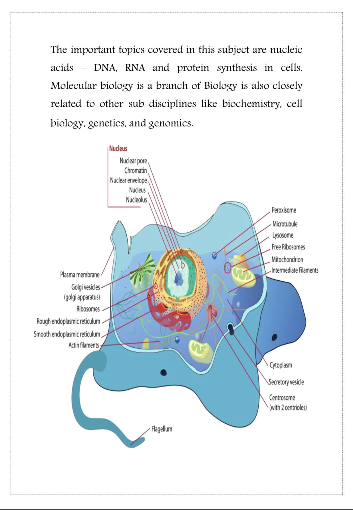 كتابة التقارير   Word لطلاب وطالبات المدارس والجامعات