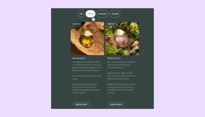 واجهة موقع احترافية