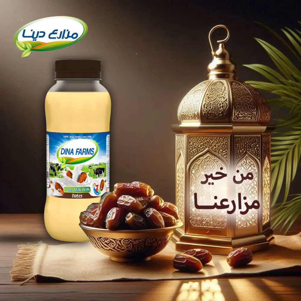 تصميم إعلانات سوشيال ميديا احترافية جذابة ومتناسقة مع الهوية البصرية