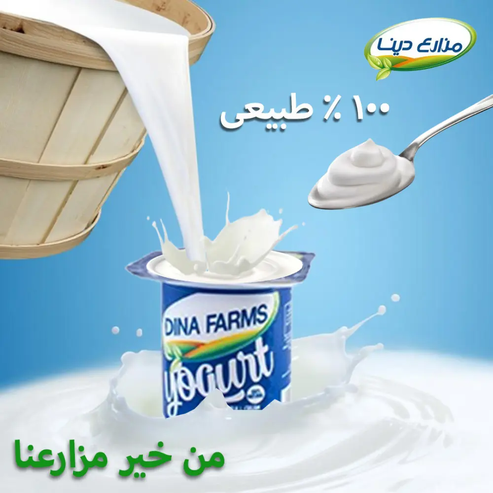 تصميم إعلانات سوشيال ميديا احترافية جذابة ومتناسقة مع الهوية البصرية
