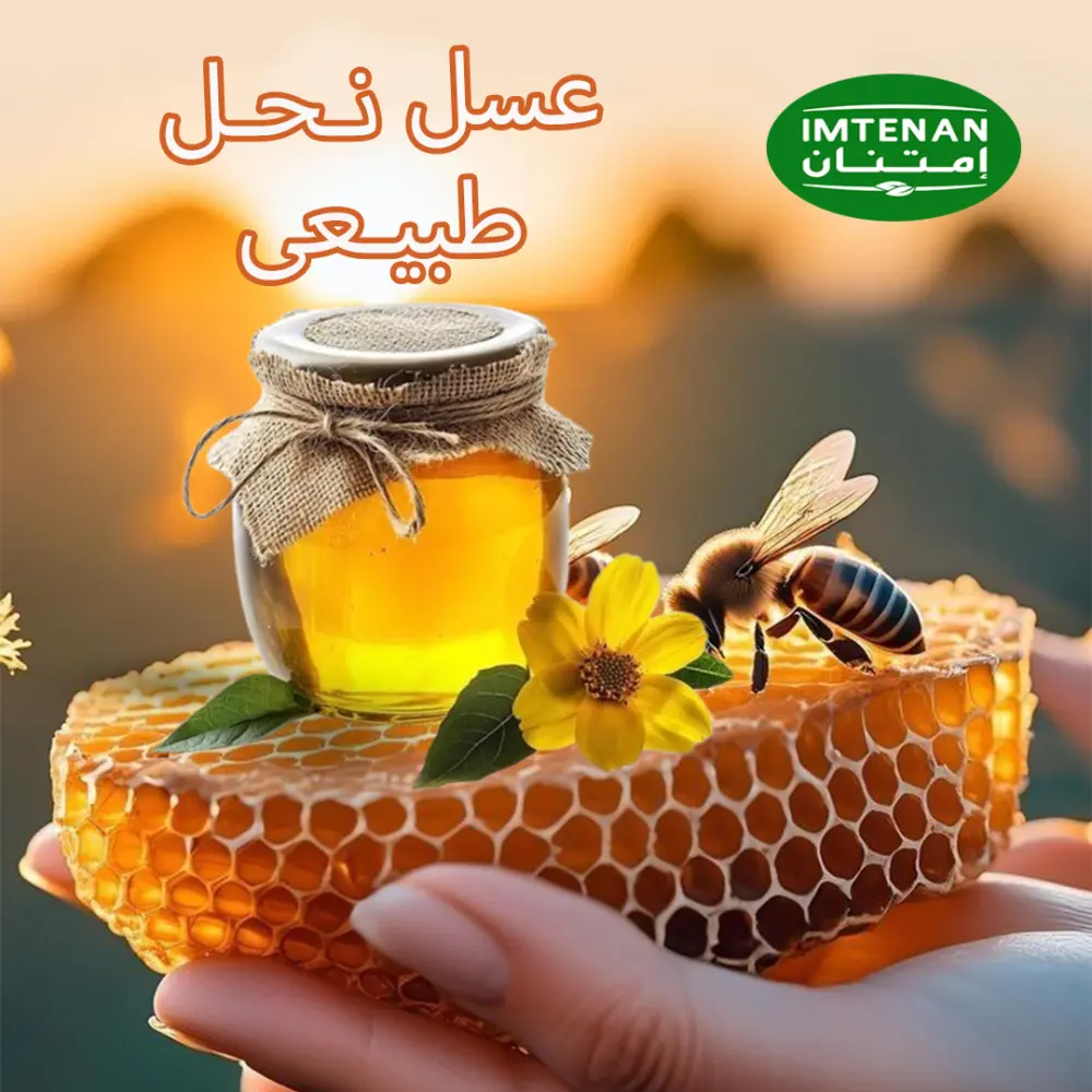 تصميم إعلانات سوشيال ميديا احترافية جذابة ومتناسقة مع الهوية البصرية
