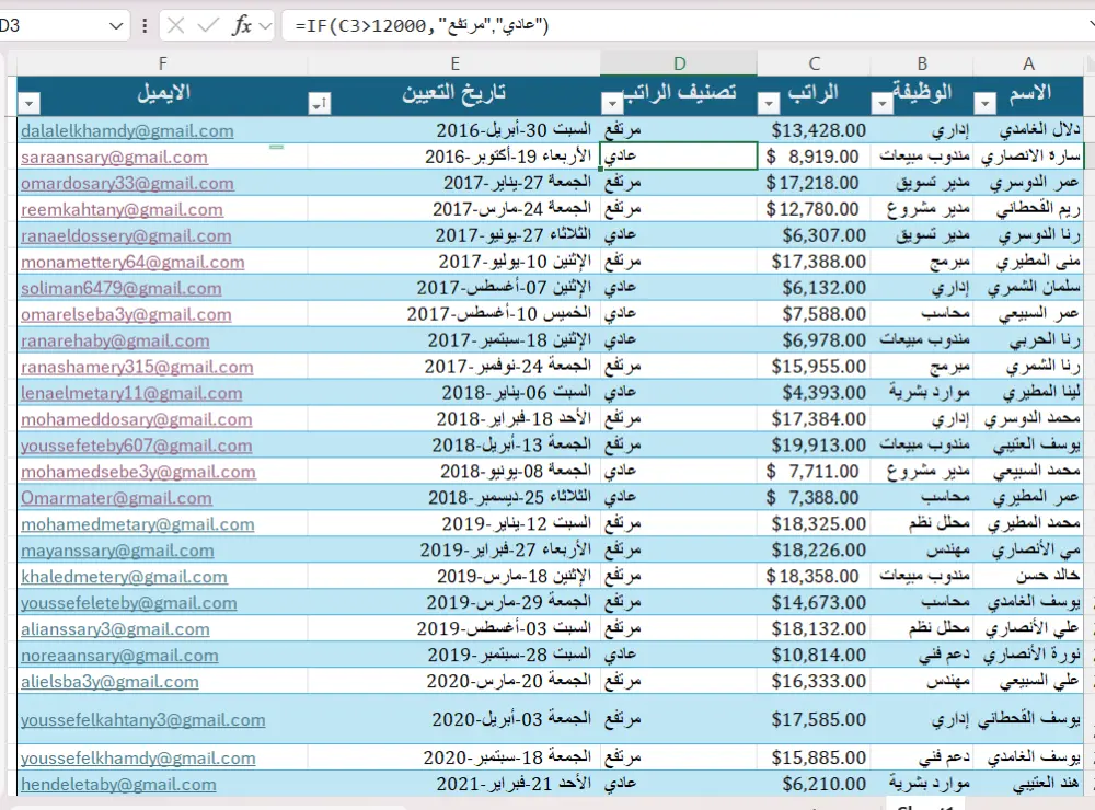 إدخال وتنظيف البيانات ومعالجتها باحترافية على Excel
