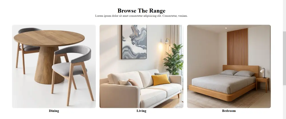 تصميم صفحات ويب احترافيه