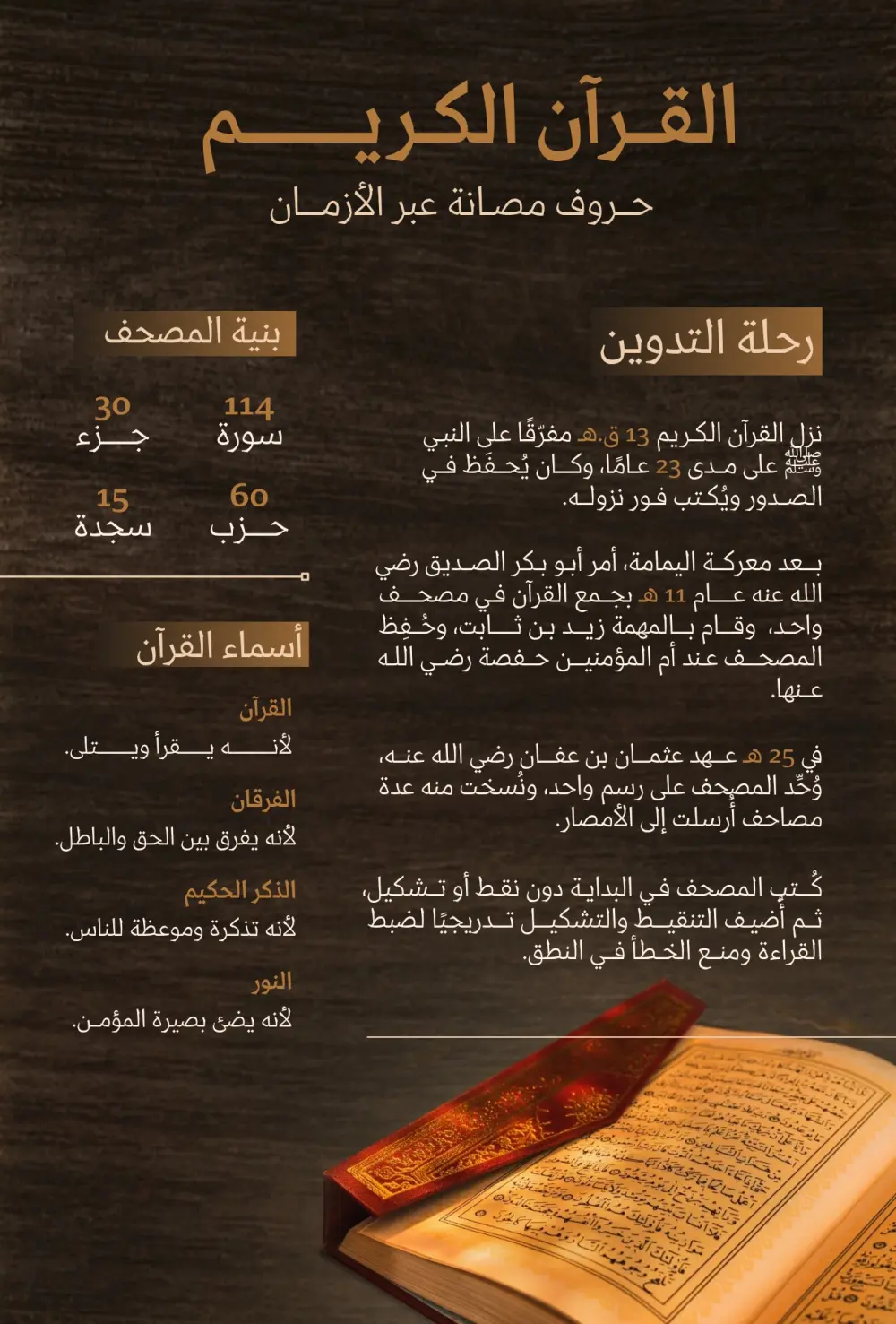 انفوجرافيك عربي