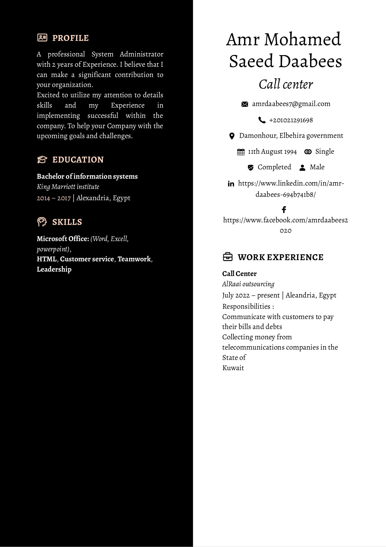 سيرة ذاتية احترافية