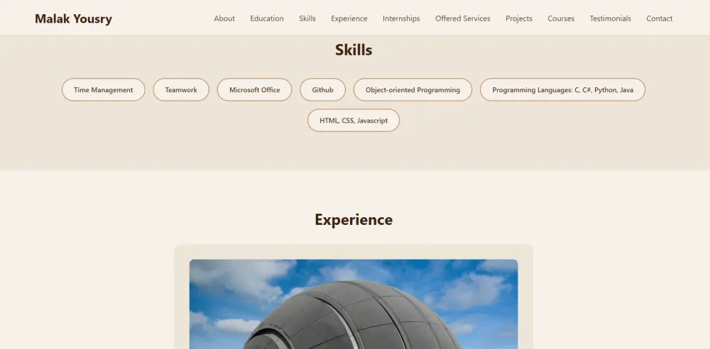 Web Development (Portfolio)