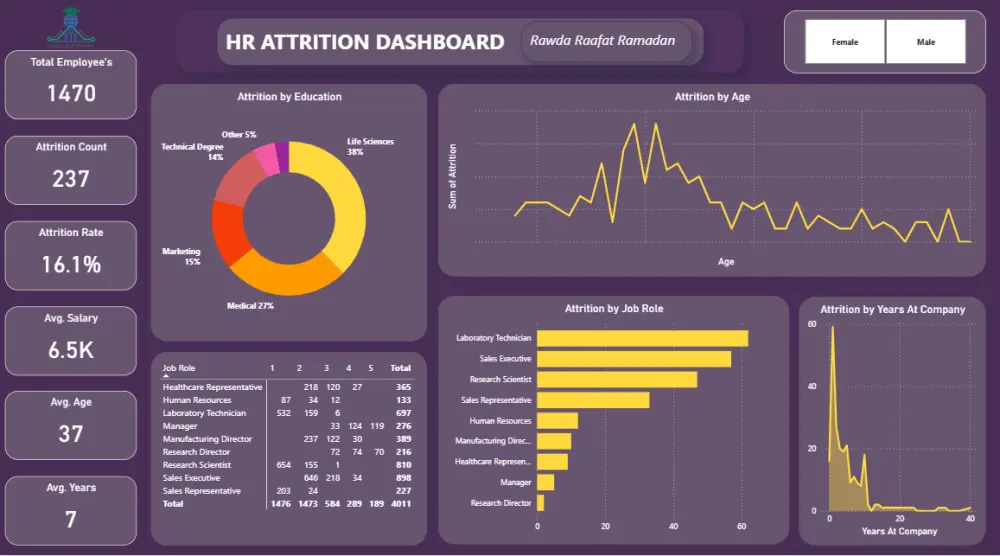 تصميم Dashboard احترافي باستخدام Power BI لتحليل البيانات