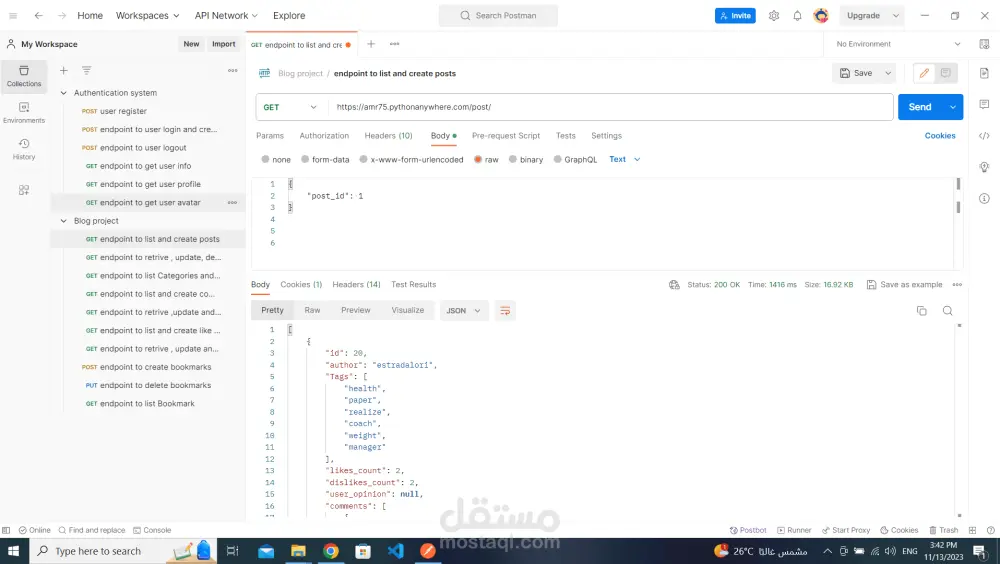 حل وإصلاح مشاكل وأخطاء الـ API والباك إند في مشاريع ASP.NET