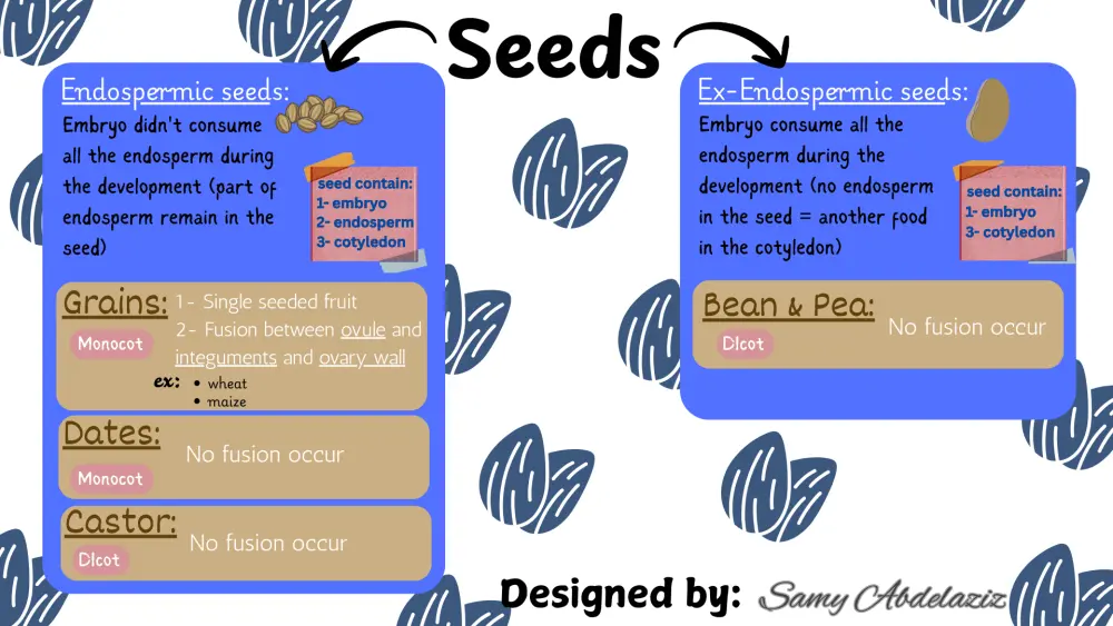 تصميم عروض بوربوينت (PowerPoint) احترافية