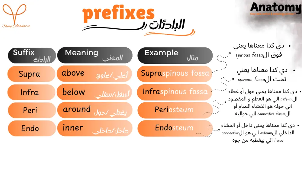 تصميم عروض بوربوينت (PowerPoint) احترافية