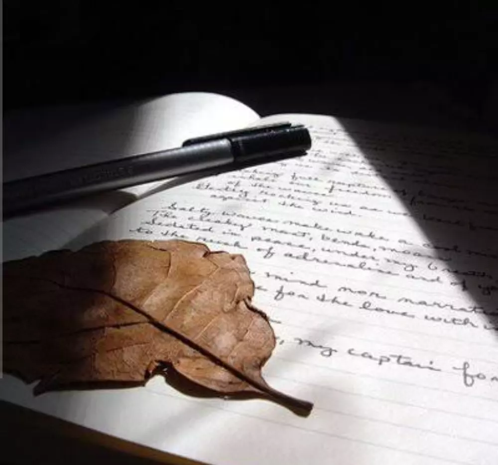 كتابة المقالات