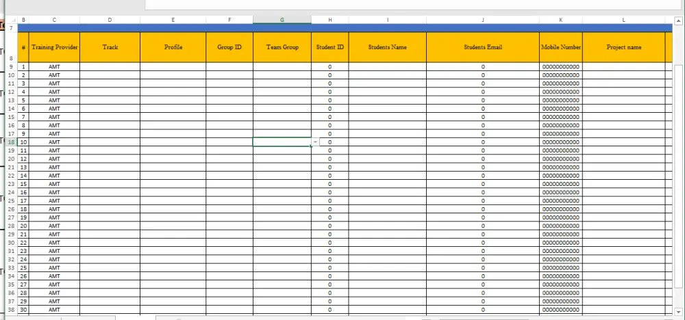 إدخال بيانات يدوي manual data entry