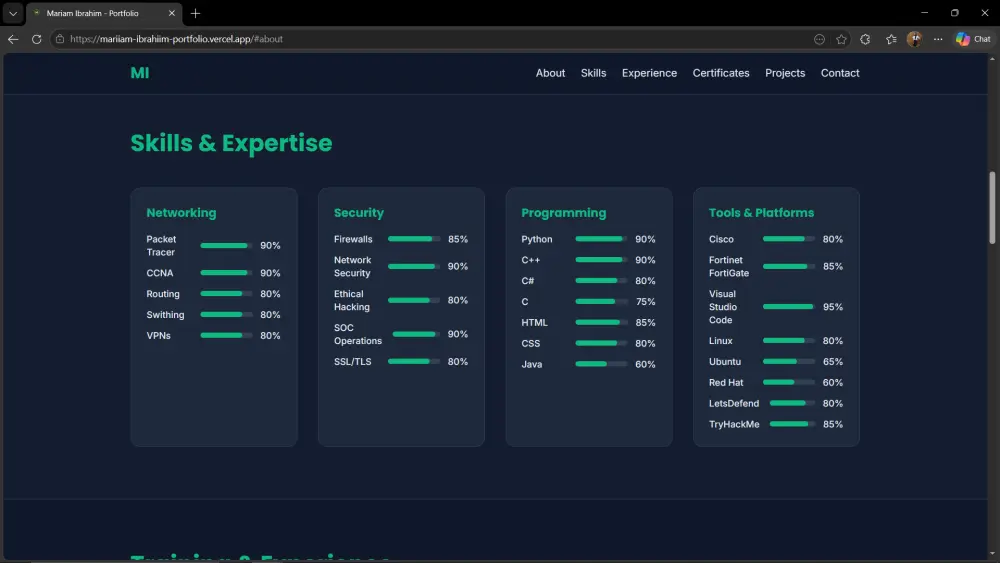 تصميم بورتفوليو احترافى