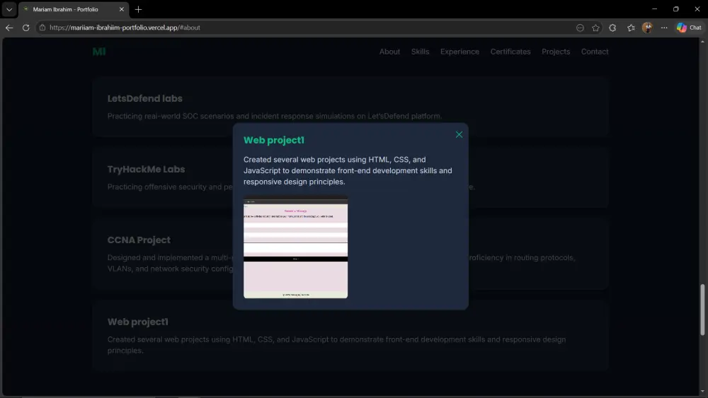 تصميم بورتفوليو احترافى
