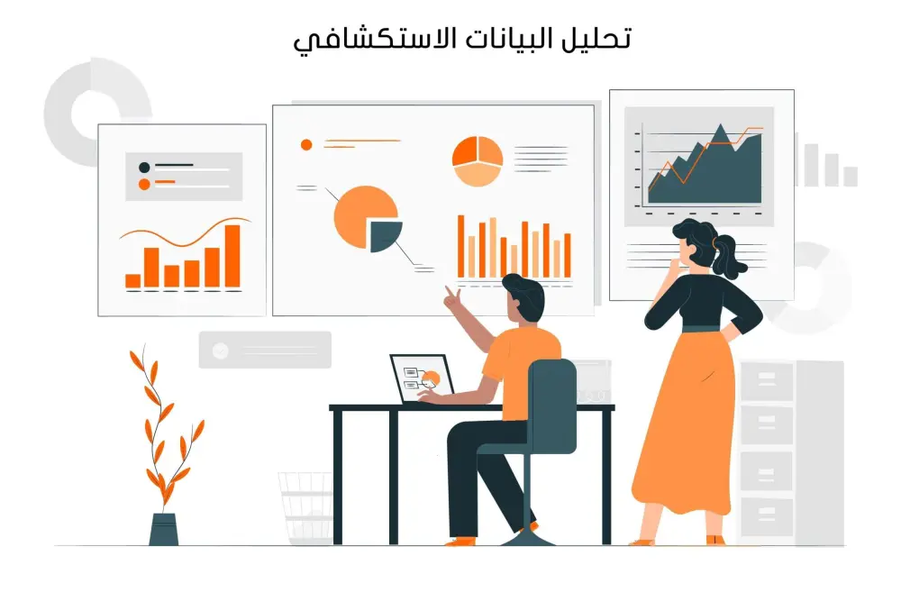تحليل البيانات الاستكشافي (EDA) وتحويلها إلى تقارير بصرية تفاعلية