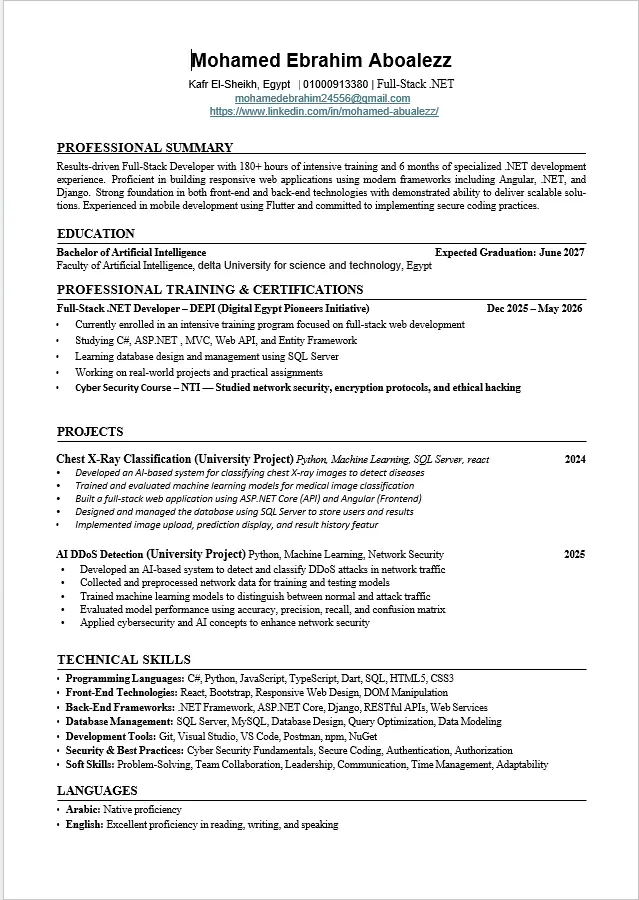 تصميم سيرة ذاتية احترافية CV حديثة وجاهزة للتقديم على الوظائف