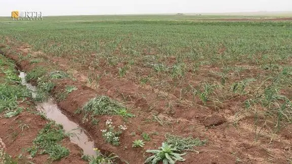 دراسة جدوي لمشاريع زراعية