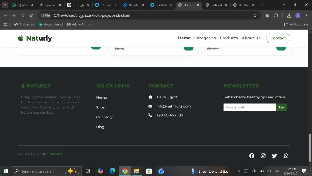 برمجة واجهة متجر إلكتروني صفحة هبوط (Landing Page) متجاوبة