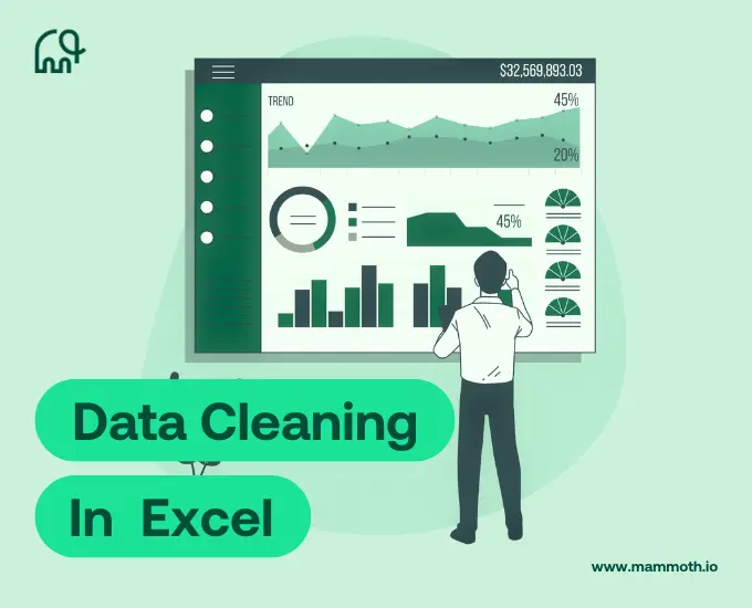 Data Cleaning  / تنظيف وتنظيم البيانات باستخدام excel