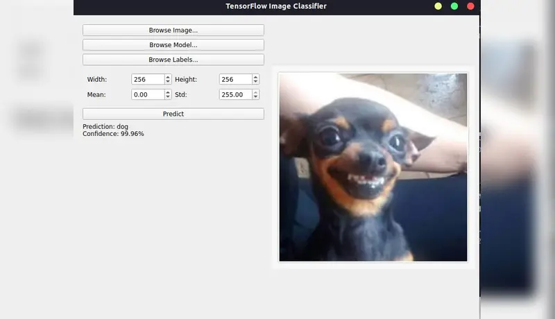 سأقوم ببناء وتدريب نموذج Convolutional Neural Network (CNN) مخصص لتصنيف الصور باستخدام تقنيات Deep Learning الحديثة.