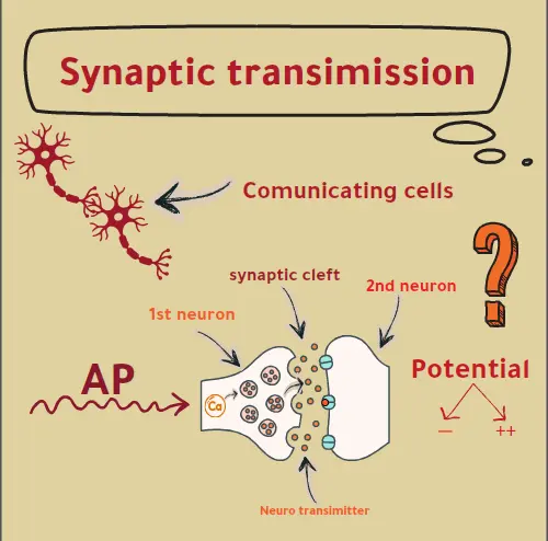 إنشاء فيديو وايت بورد تعليمي أو تسويقي باحتراف