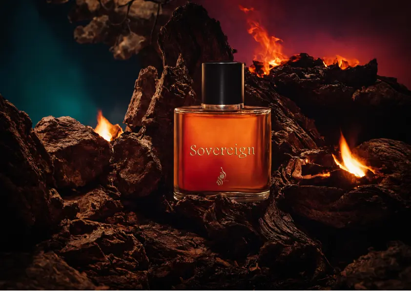 تصميم لوجو احترافي