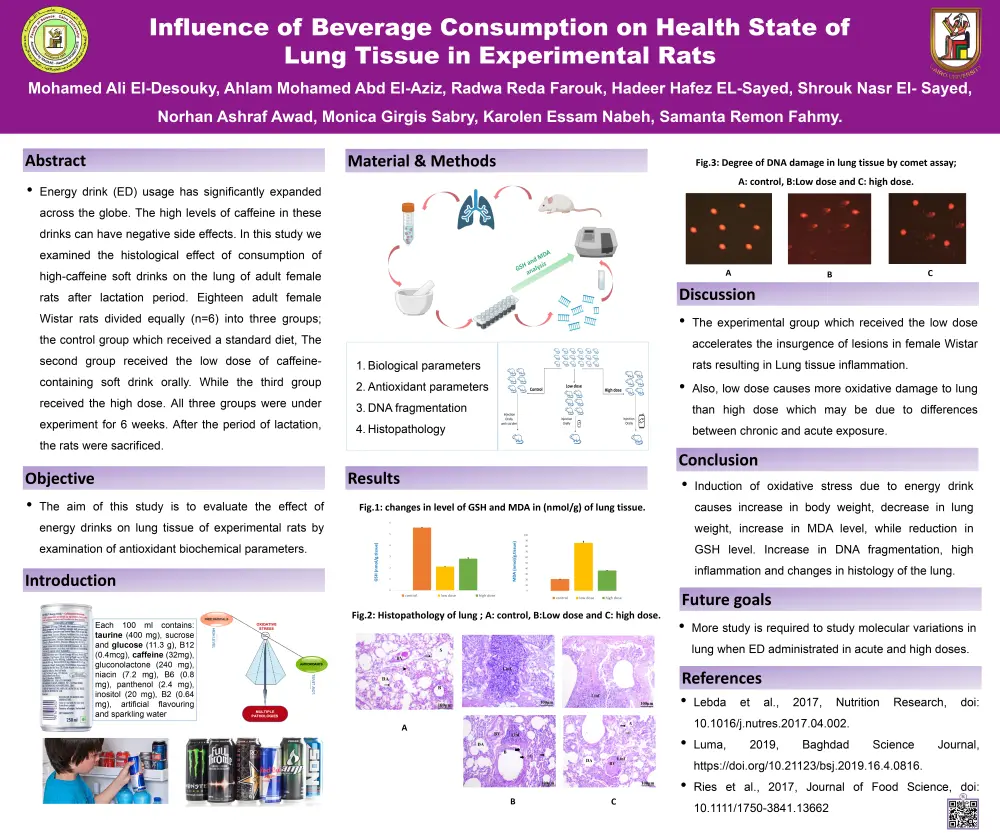 تصميم بوستر طبي احترافي لعرض دراسات علمية أو محتوى طبى توعوي (Medical Poster & Scientific Infographic)