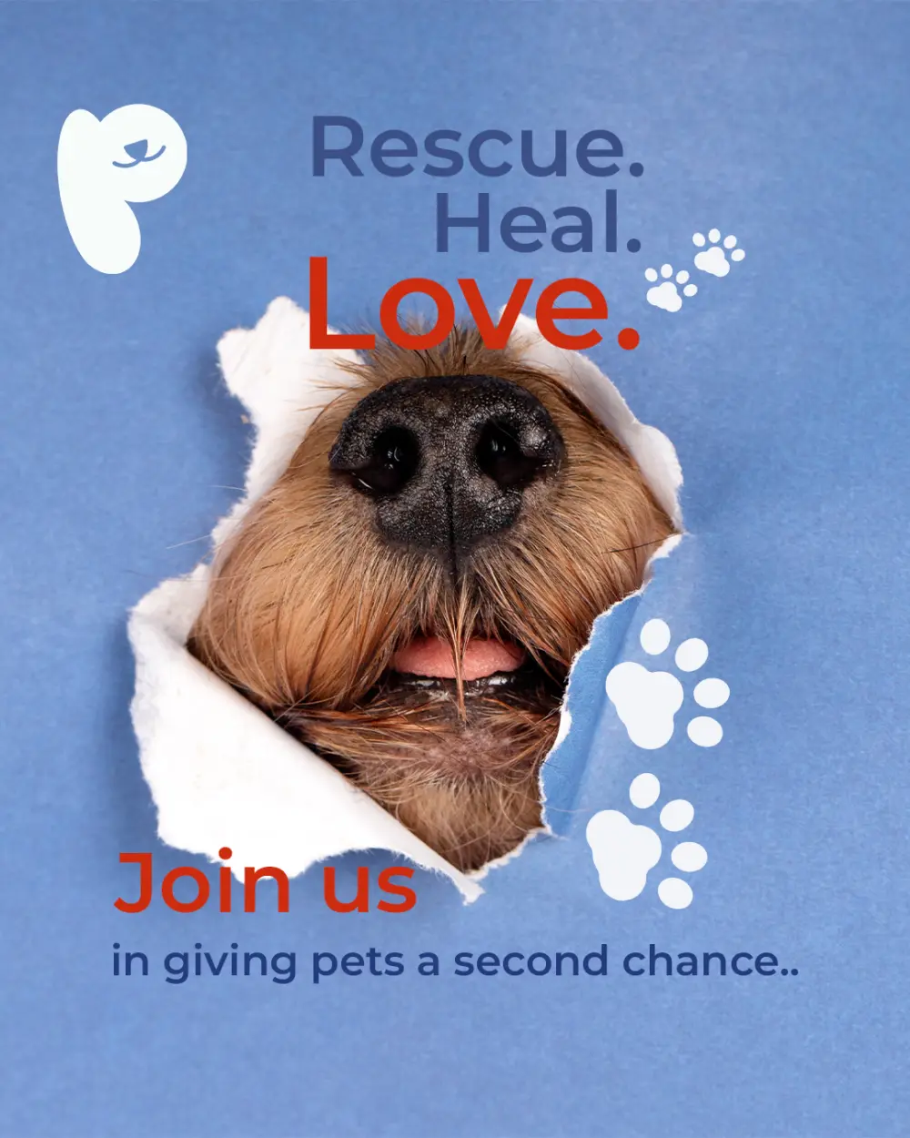 تصميم بوست سوشيال ميديا احترافي مقابل 5$