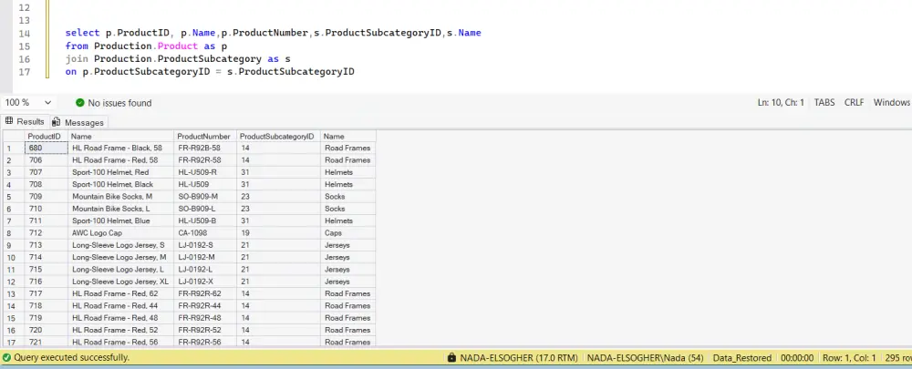 حل مشاكل قواعد بيانات SQL Server، تنظيف البيانات، وتصميم ERD