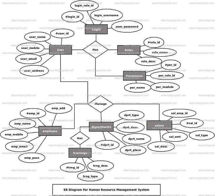 تصميم ER Diagram