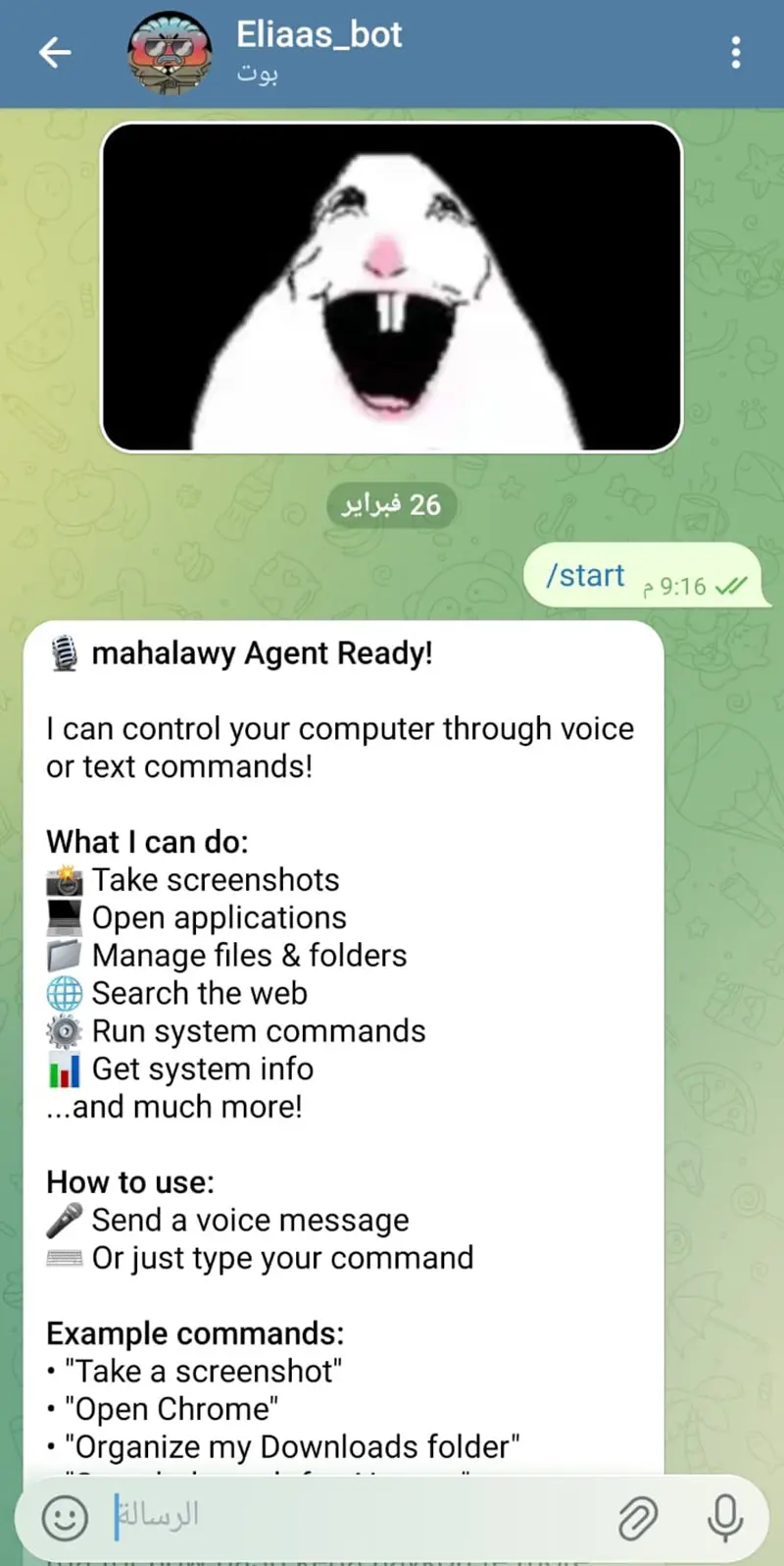 إنشاء بوت تيليجرام بفكرتك الخاصة