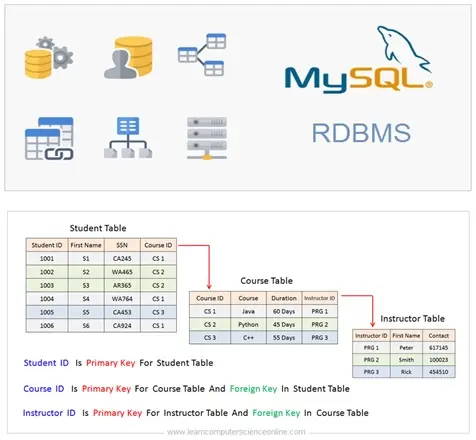 بناء وتصميم قواعد البيانات SQL واستخراج تقارير متقدمة