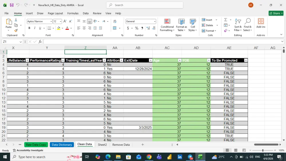 تنظيف وتنسيق بيانات اكسل بحترافيه ( Excel Data Cleaning & Formatting).