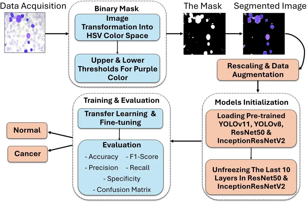 إنشاء نماذج رؤية حاسوبية  لتصنيف الصور وكشف الكائنات Computer Vision
