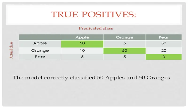 تصميم عروض تقديمية احترافية ومودرن باستخدام PowerPoint و Canva