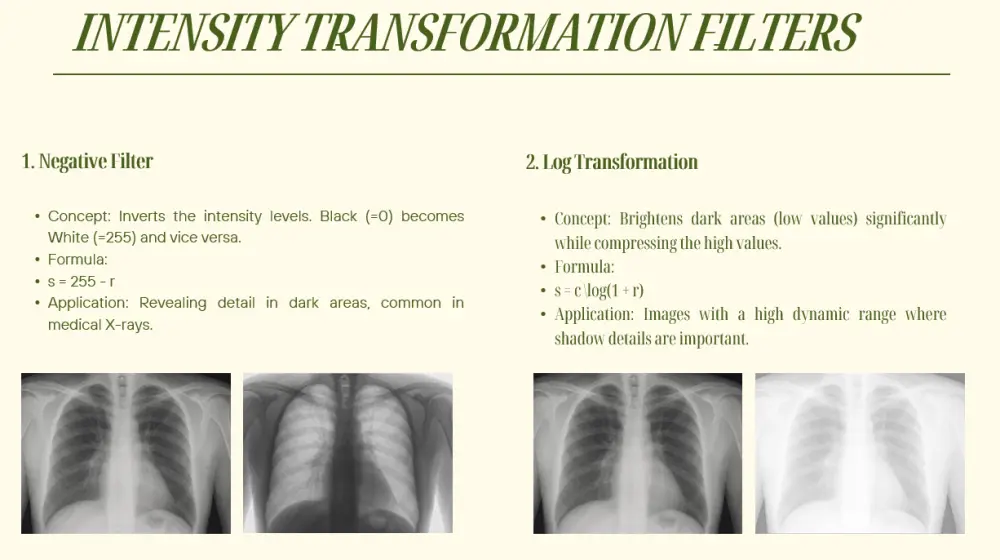 تصميم عروض تقديمية PowerPoint احترافية وجذابة لأي مجال
