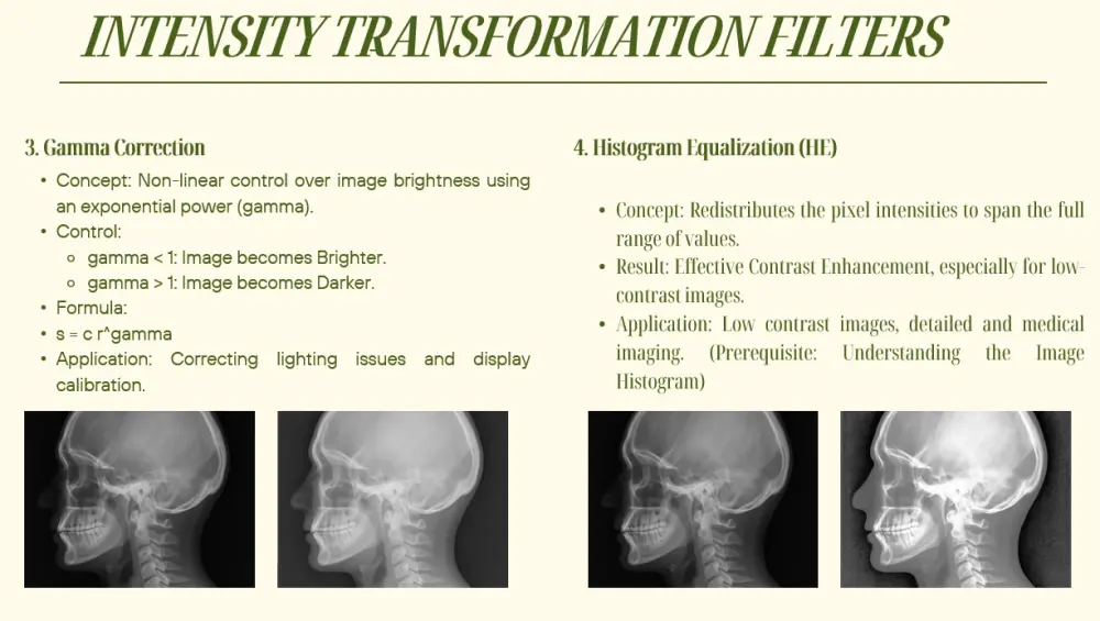 تصميم عروض تقديمية PowerPoint احترافية وجذابة لأي مجال