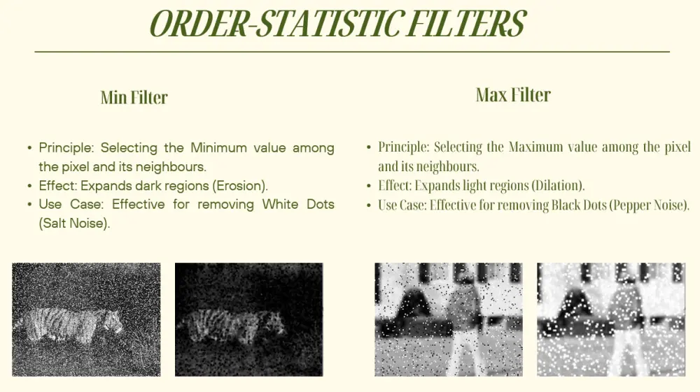 تصميم عروض تقديمية PowerPoint احترافية وجذابة لأي مجال