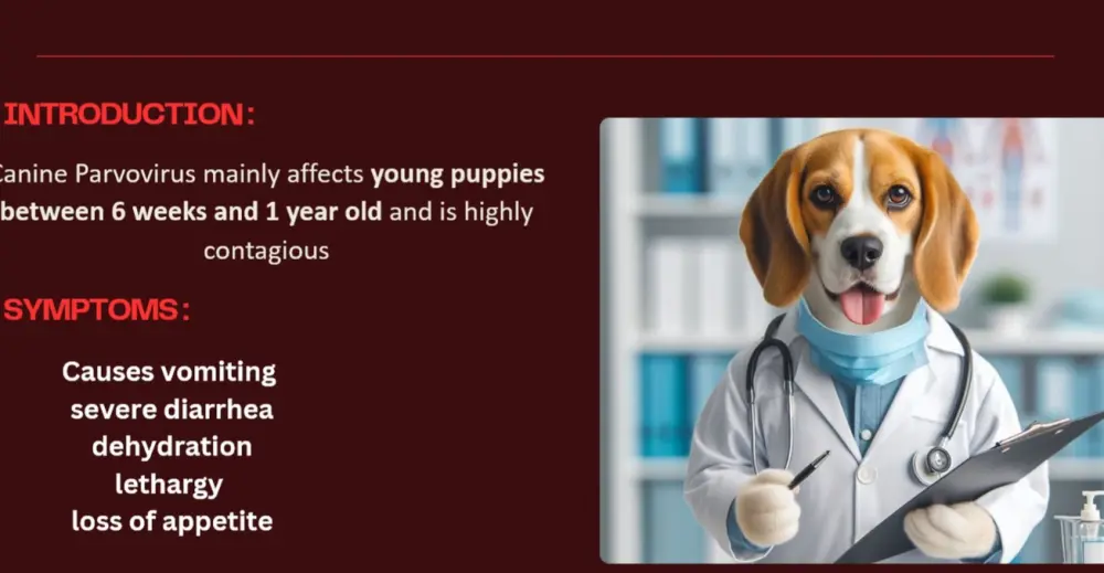 تصميم عروض تقديمية PowerPoint احترافية وجذابة لأي مجال