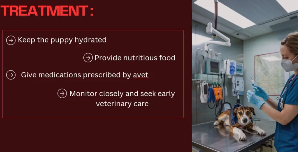 تصميم عروض تقديمية PowerPoint احترافية وجذابة لأي مجال