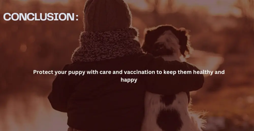 تصميم عروض تقديمية PowerPoint احترافية وجذابة لأي مجال