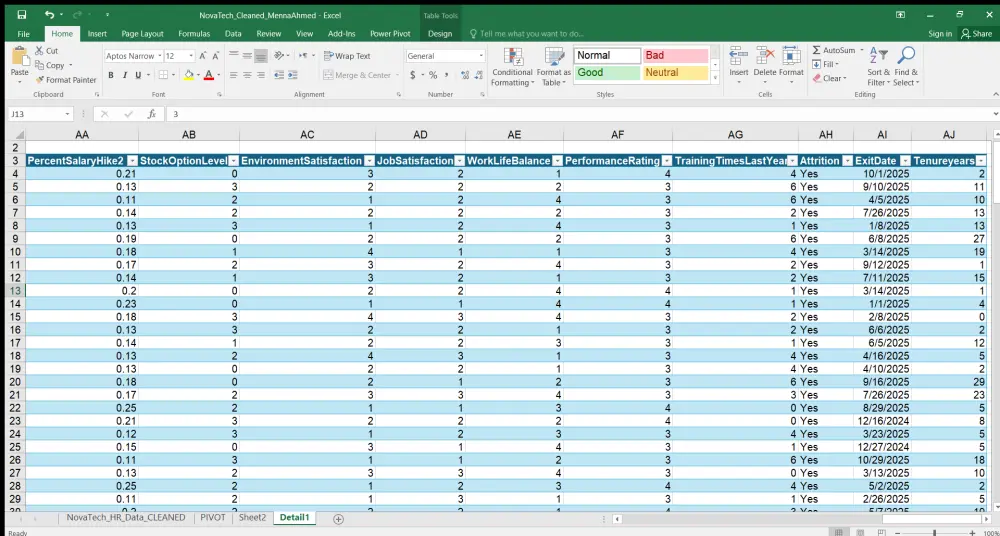 تحليل بيانات الموظفين HR وتحويلها إلى تقارير واضحة ورسوم بيانية احترافية تساعدك على فهم البيانات