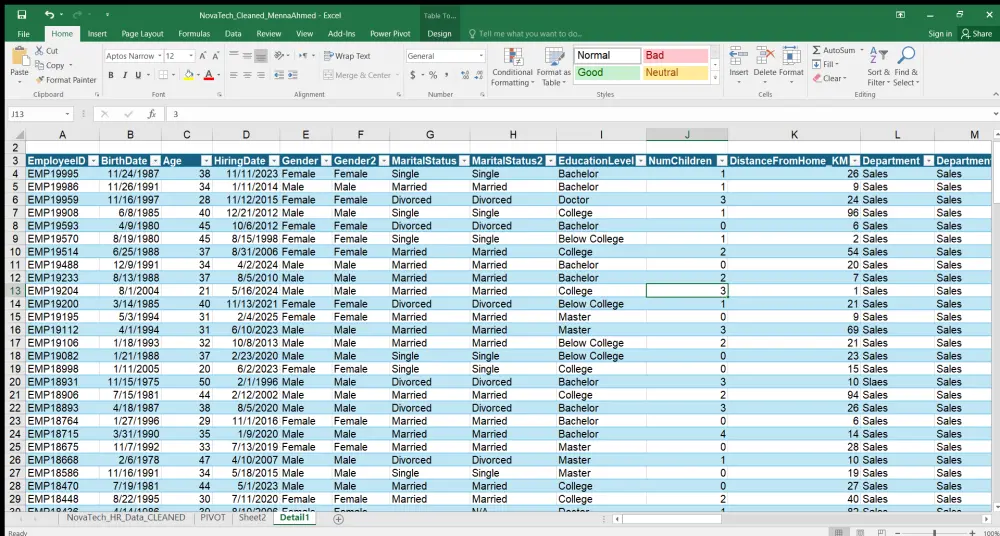 تحليل بيانات الموظفين HR وتحويلها إلى تقارير واضحة ورسوم بيانية احترافية تساعدك على فهم البيانات