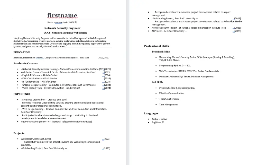 كتابة وتصميم سيرة ذاتية احترافية باللغتين العربية والإنجليزية